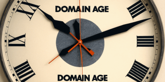 domain age checker